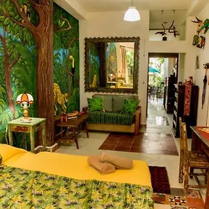 https://majikal-bnb-xolos.hotelsmerida.org